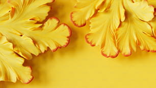 黄色い背景に黄色い葉の接写