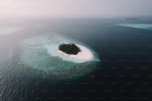 바다 한가운데에 있는 작은 섬