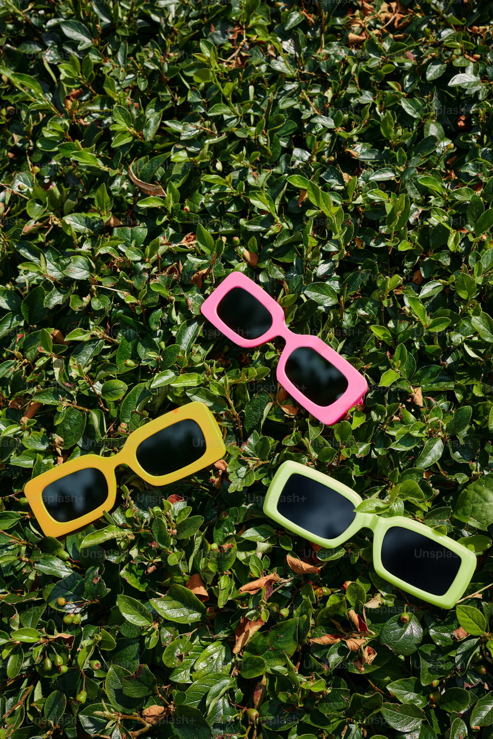 three pairs of sunglasses laying on top of a lush green field