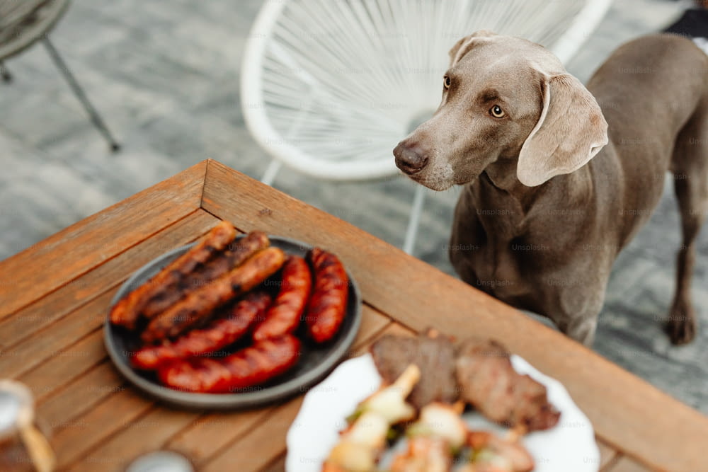 a brown dog standing next to a table full of food