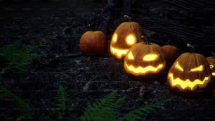 a group of carved pumpkins sitting on top of a forest floor