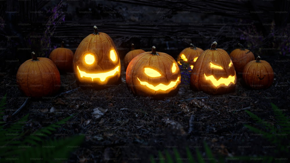 a group of carved pumpkins sitting on top of a forest floor