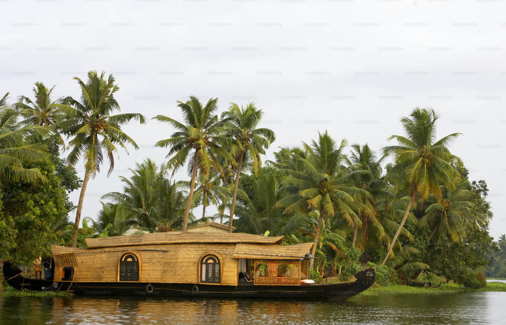uma casa-barco em um rio cercado por palmeiras