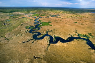 Una vista aérea de un río en medio de una llanura