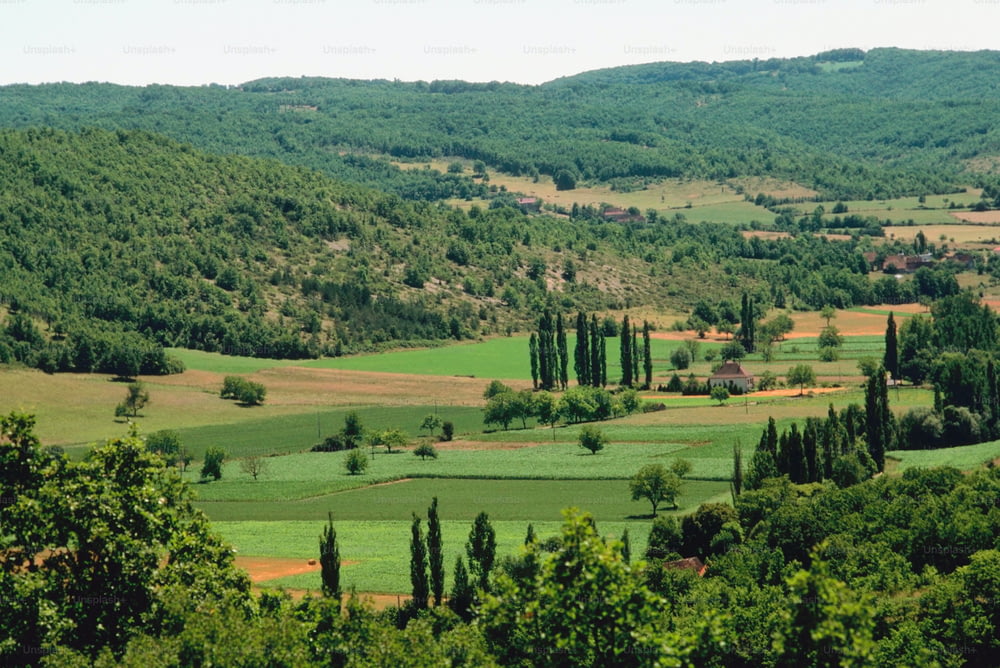 Une vallée verdoyante entourée d’arbres et de collines