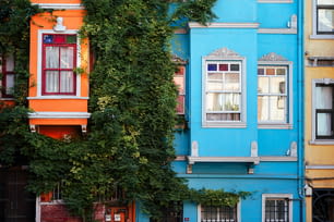 a row of multicolored buildings with vines growing up the side of them