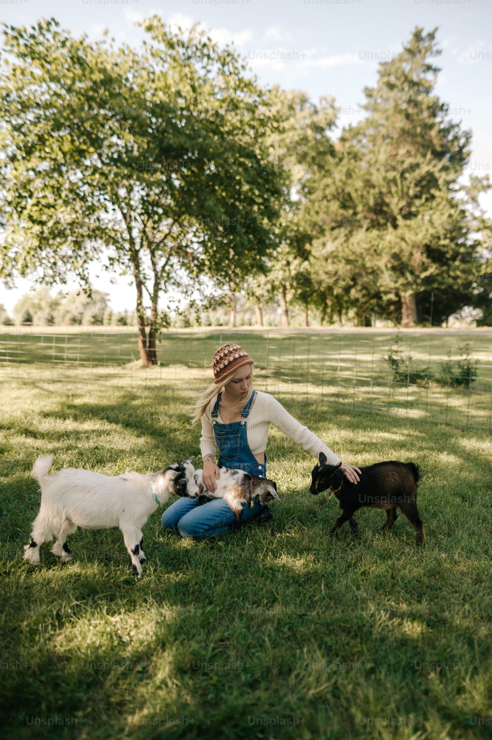 a woman sitting in the grass with two small dogs