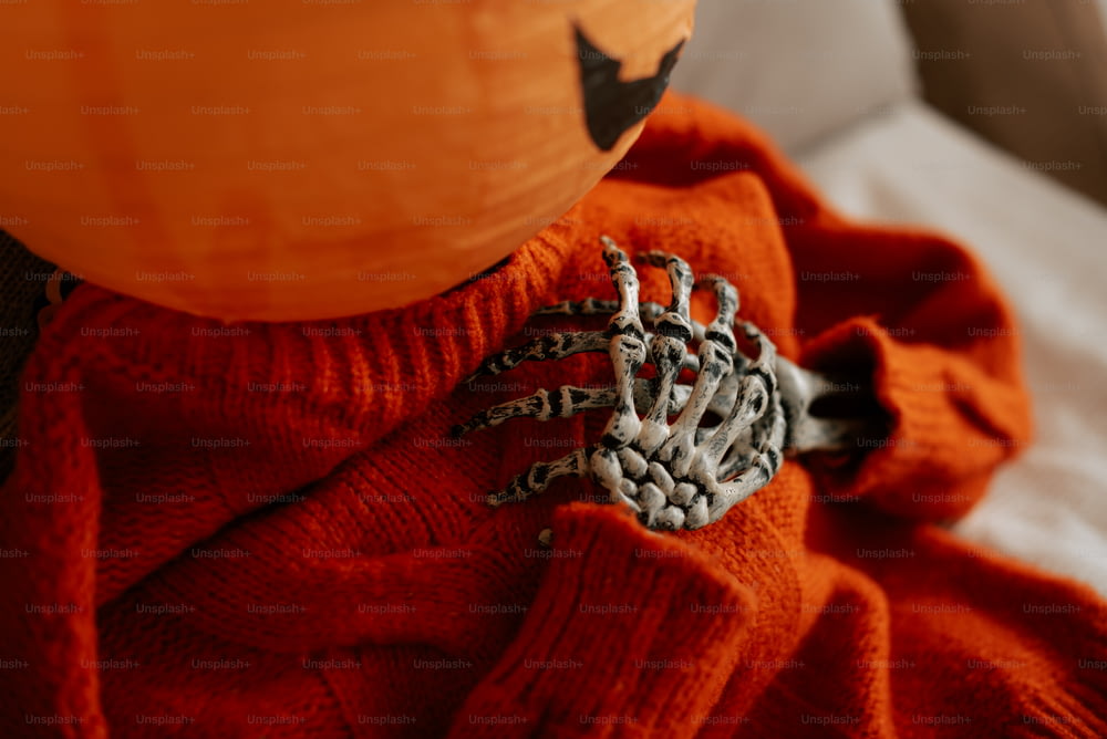 a close up of a pumpkin wearing a sweater