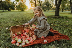 Una bambina seduta nell'erba con un cesto di mele