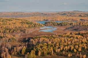 an aerial view of a forest with a lake in the middle