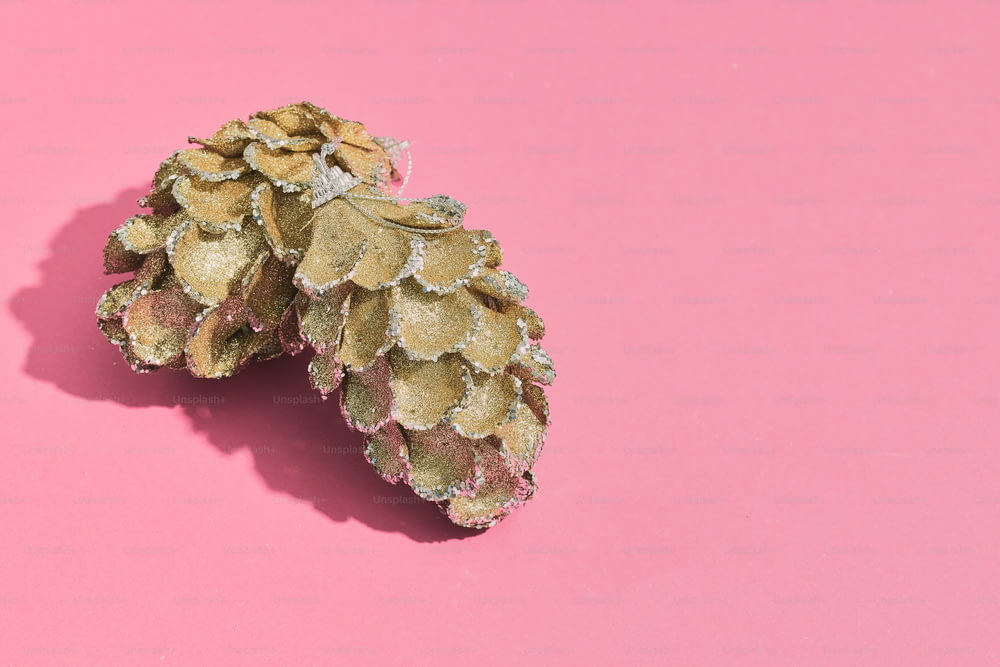 a close up of a pine cone on a pink background