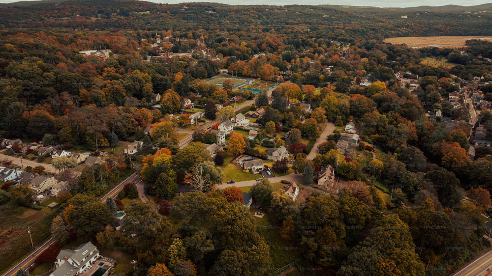 an aerial view of a town surrounded by trees