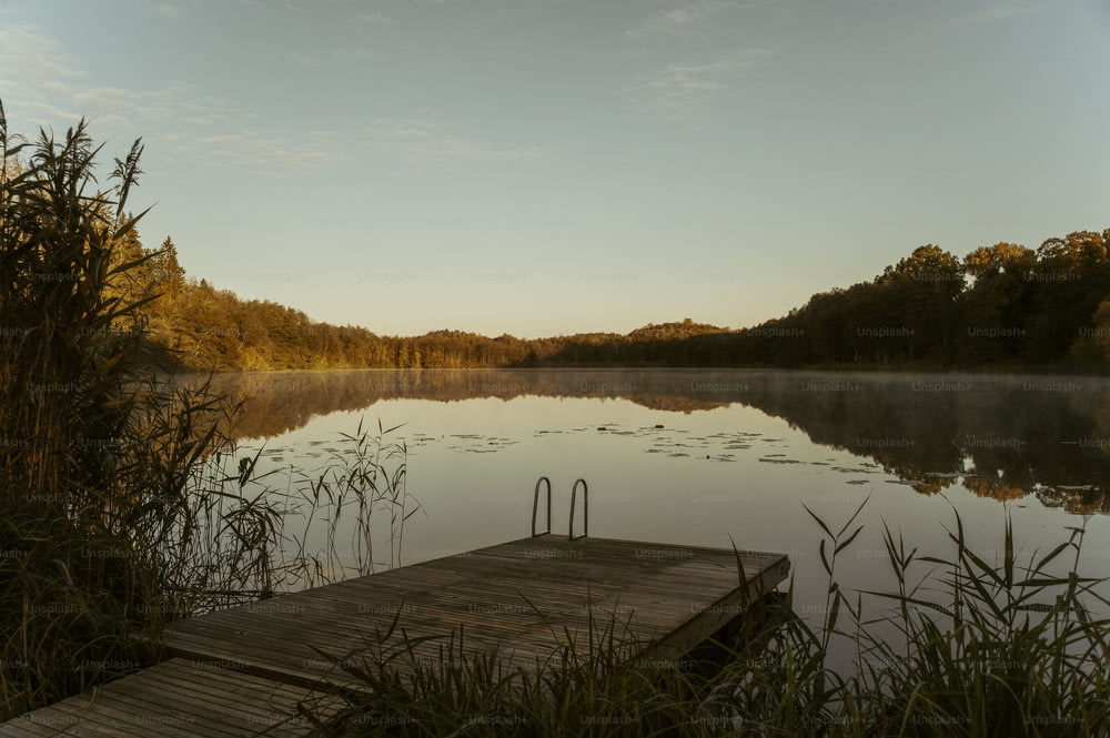 a dock sitting on top of a lake next to a forest