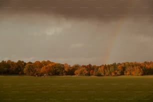 um arco-íris no céu sobre um campo verde