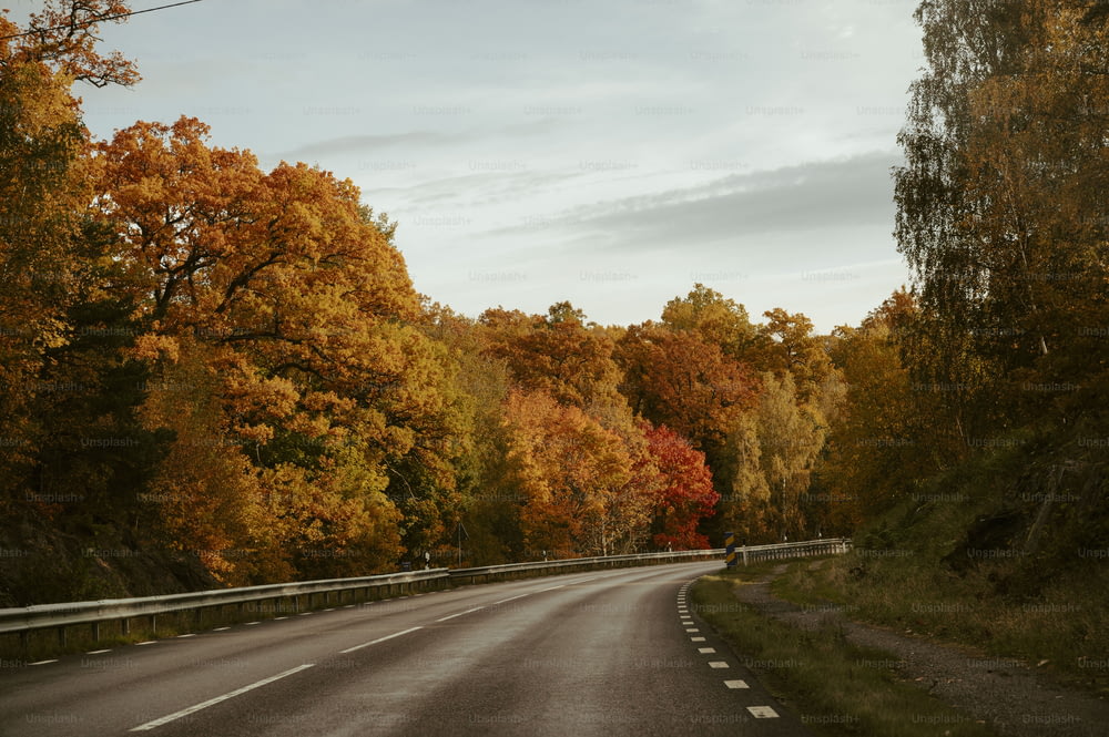 eine Straße, die von Bäumen mit orangefarbenen und gelben Blättern umgeben ist