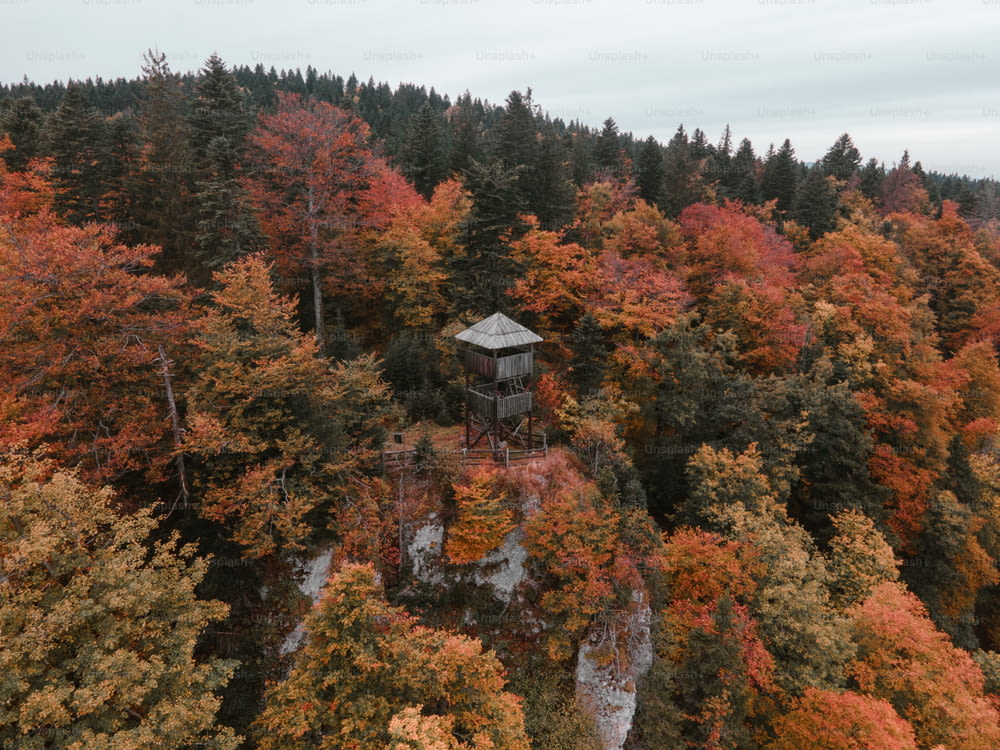 a tower in the middle of a forest surrounded by trees