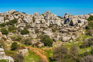 암석의 독특한 모양은 1억 5천만 년 전 쥬라기 시대에 산 전체가 바닷물에 잠겼던 침식 때문입니다. Torcal de Antequera