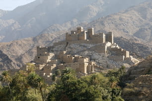 The village of Thee Ain in Al-Baha, Saudi Arabia is a unique heritage site that includes old archaeological buildings