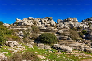 암석의 독특한 모양은 1억 5천만 년 전 쥬라기 시대에 산 전체가 바닷물에 잠겼던 침식 때문입니다. Torcal de Antequera