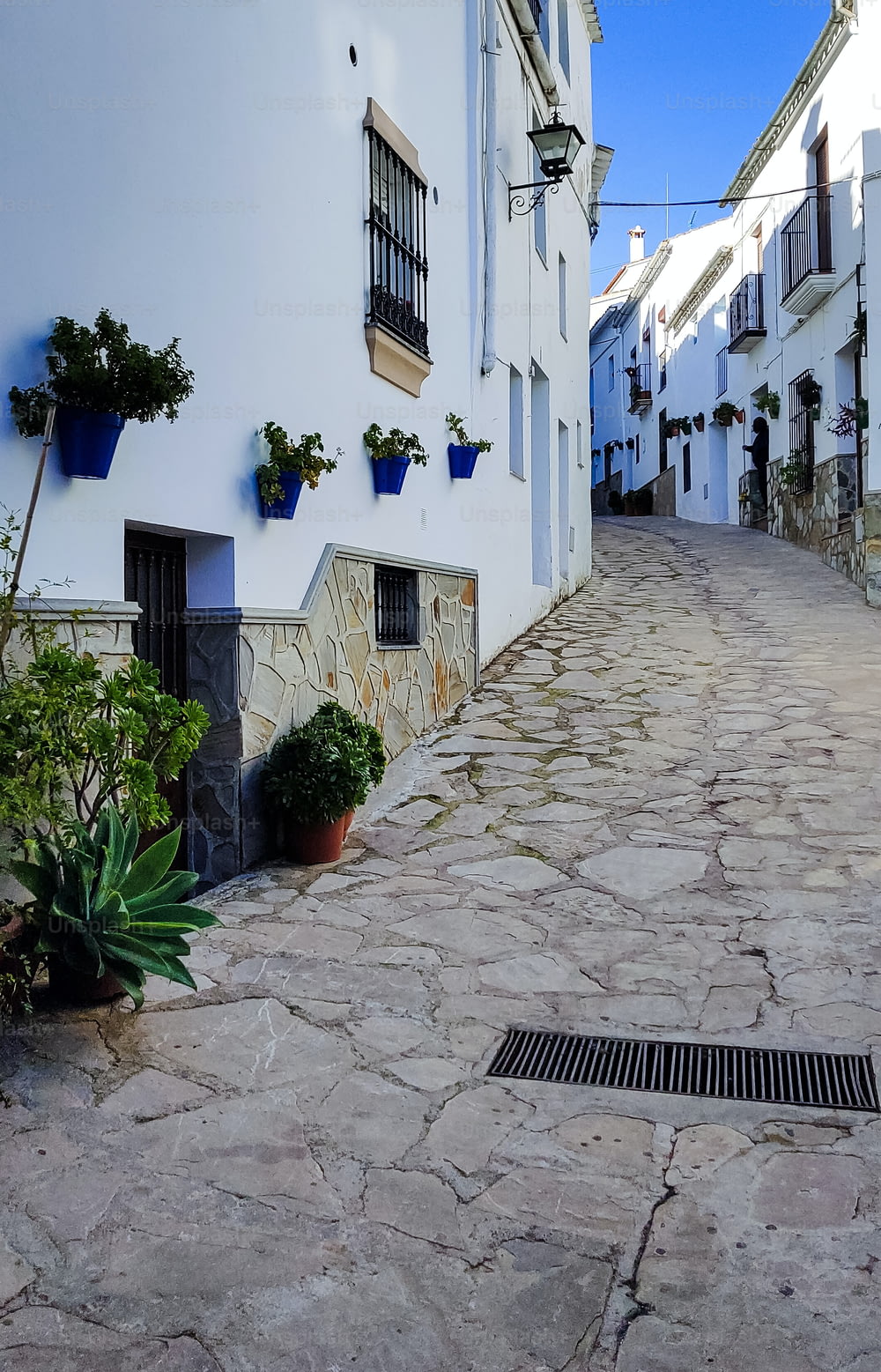Flowers in the street of white village in el Gastor in the province of Cadiz in a sunny day