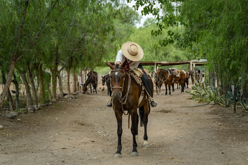 Un gaucho argentino de Mendoza acariciando a su caballo