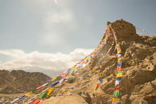 인도 라다크의 불교 사원에 걸려 있는 티베트 국기