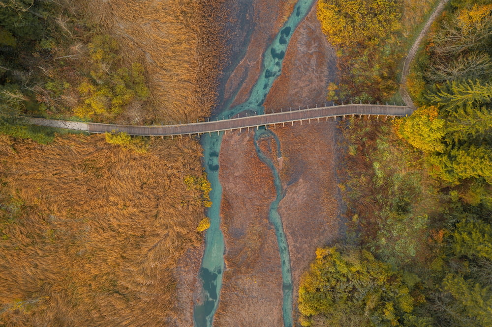 an aerial view of a bridge in the middle of a forest