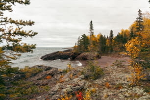 a rocky shore with trees and water in the background