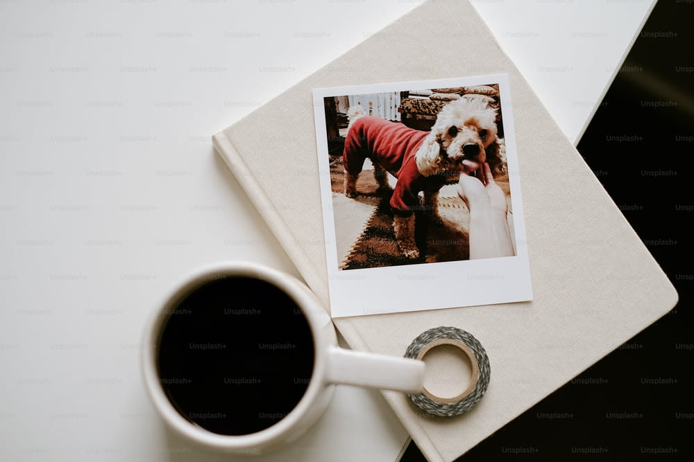 Una foto de un perro con un suéter junto a una taza de café