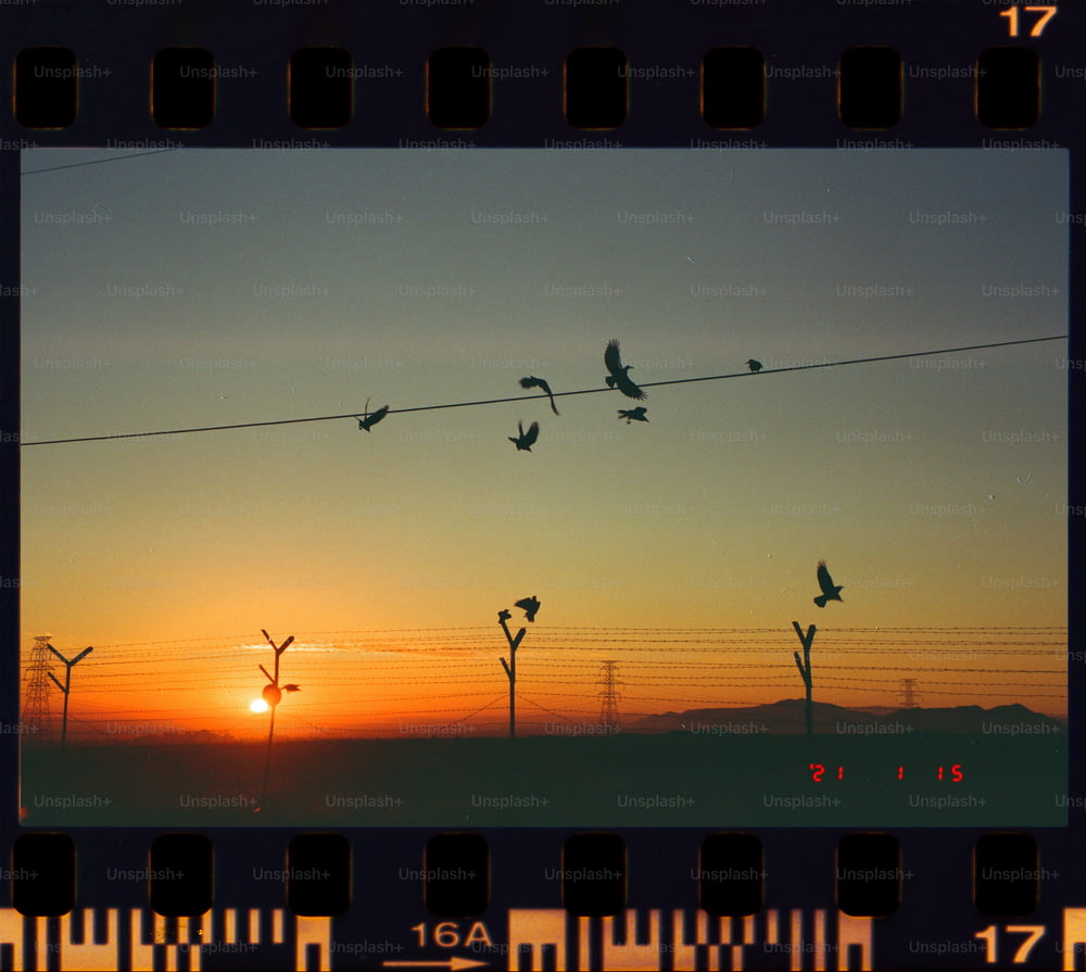 a picture of a sunset with birds on a wire
