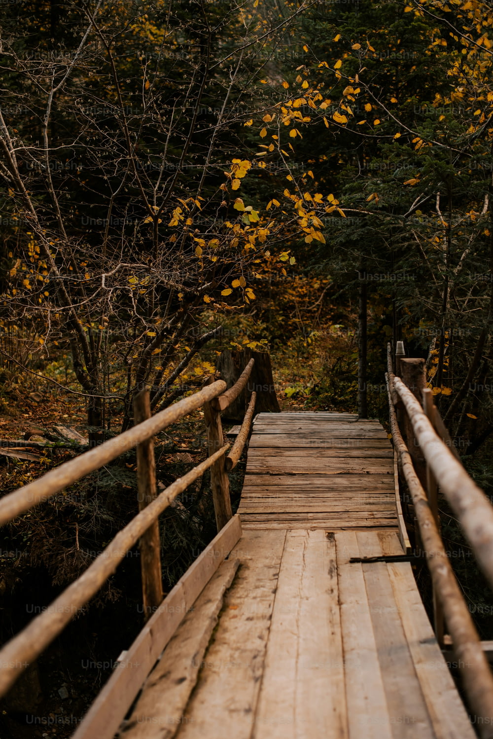 a wooden bridge in a wooded area with trees in the background