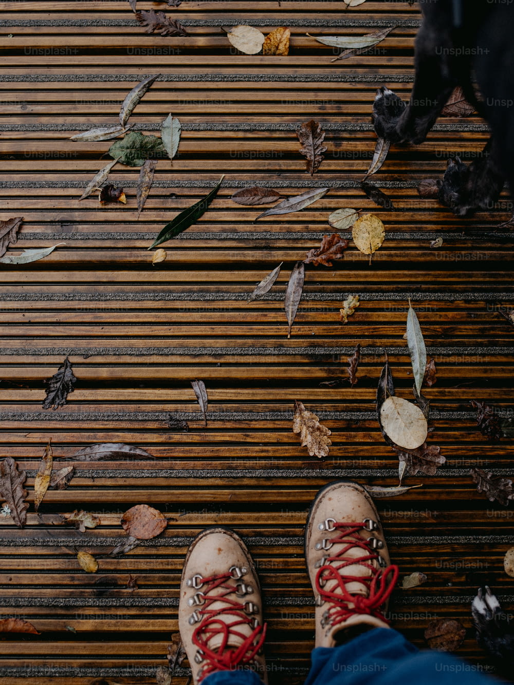a pair of feet standing on a wooden floor covered in leaves