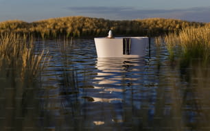 a boat floating on top of a lake surrounded by tall grass