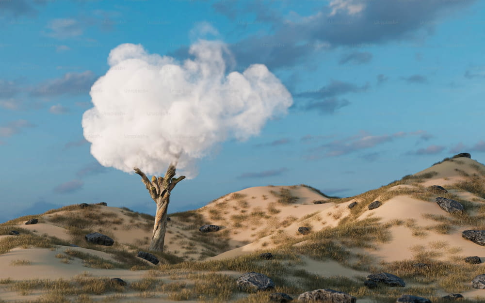 a cloud of smoke is rising from a tree in the desert