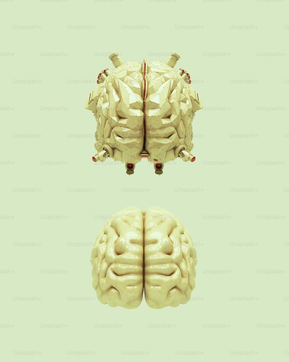 two images of the same human brain
