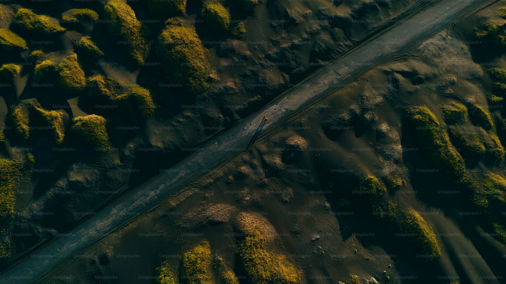 an aerial view of a road surrounded by moss