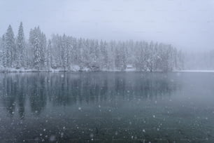 un lac entouré d’arbres recouverts de neige