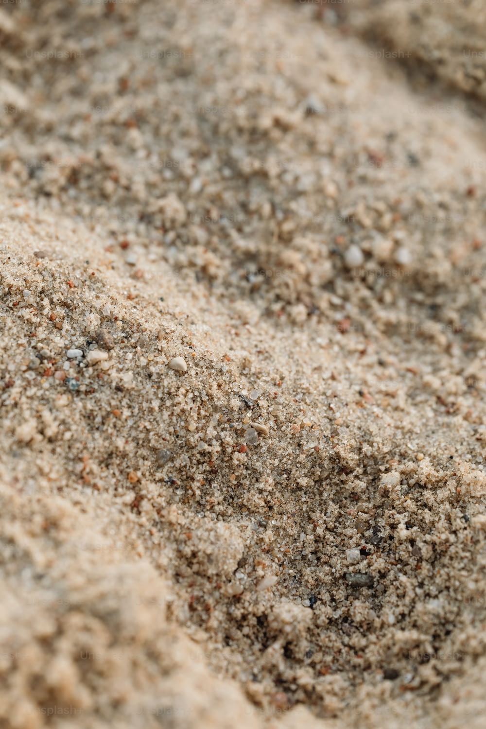 um close up de um chão coberto de areia