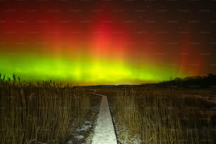 Un sentiero in mezzo a un campo con un'aurora verde e rossa brillante sopra