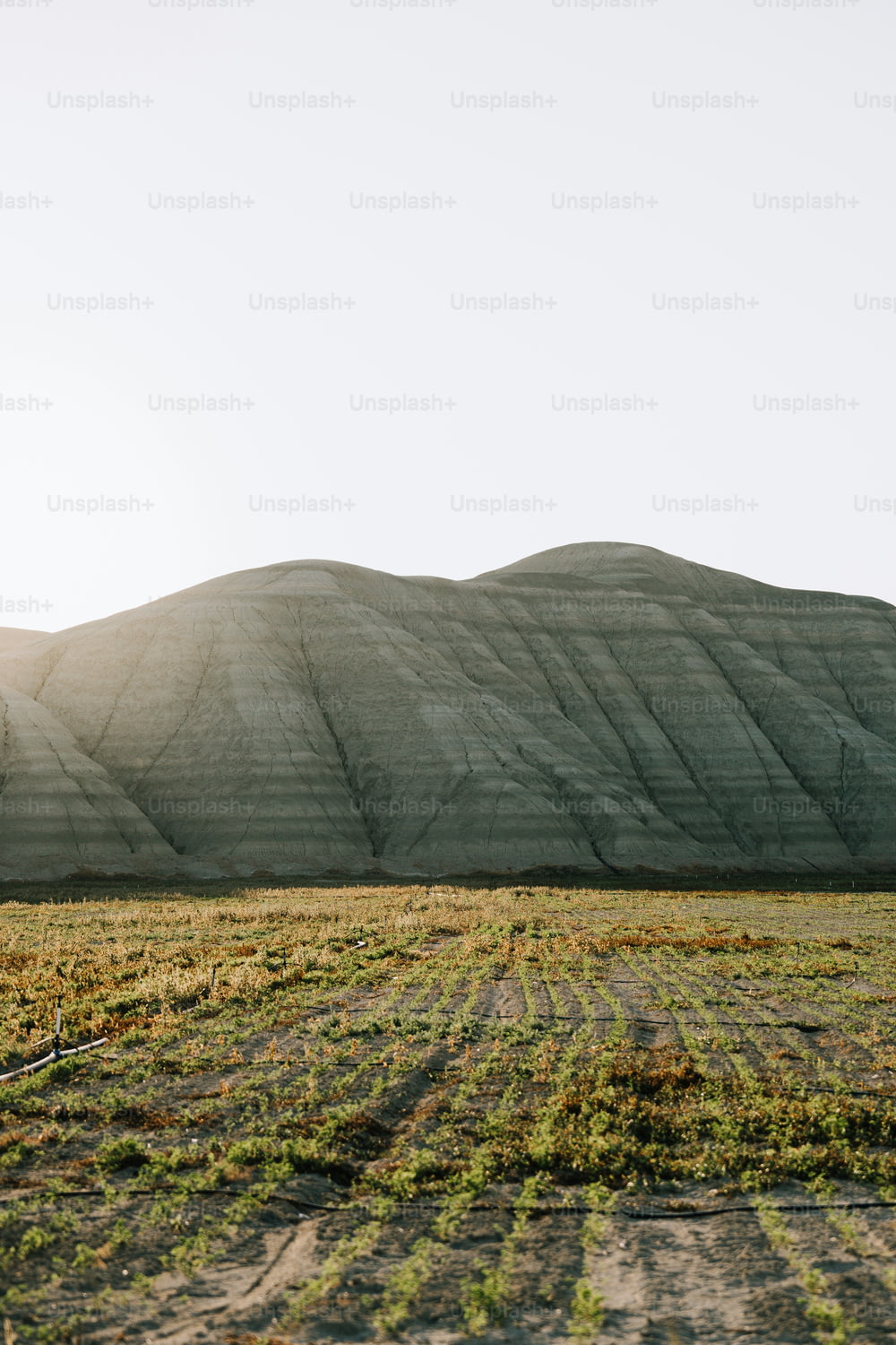 un campo con una montagna sullo sfondo