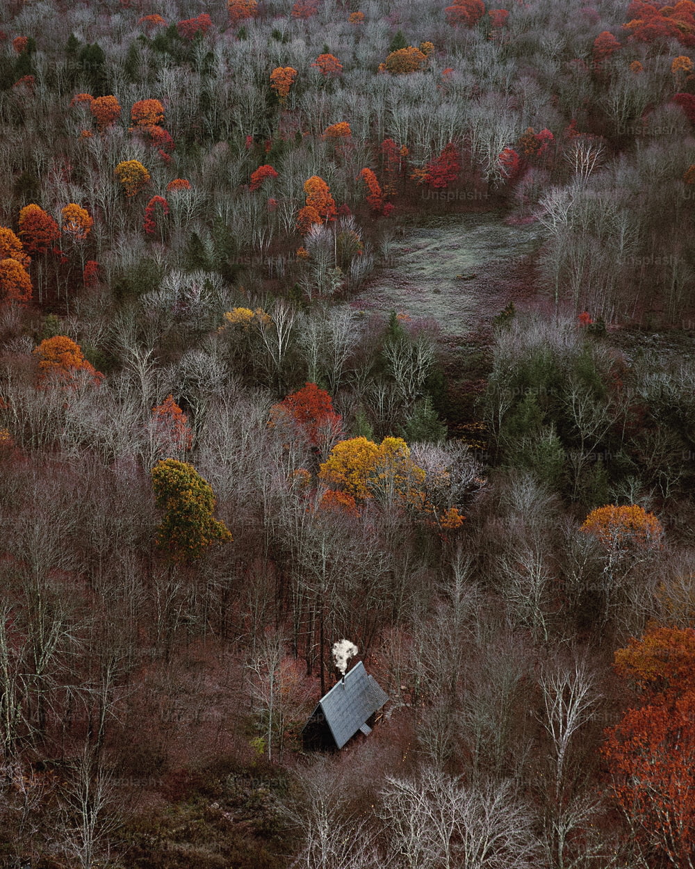 an aerial view of a wooded area with a satellite dish
