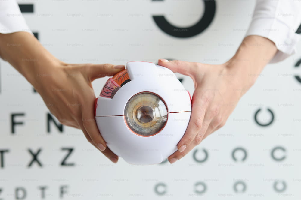 Vue de dessus d’un médecin ophtalmologiste tenant une partie du modèle d’œil, échantillon d’oculus, soins de santé, ophtalmologie, examen, médecine, diagnostic oculaire, concept de vue