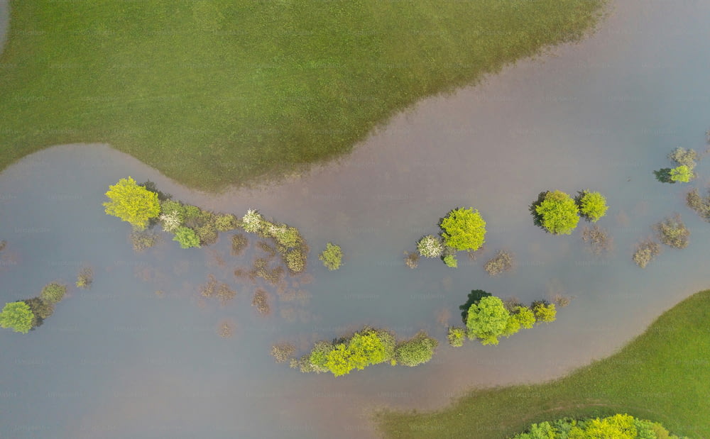 Una veduta aerea di un lago circondato da alberi