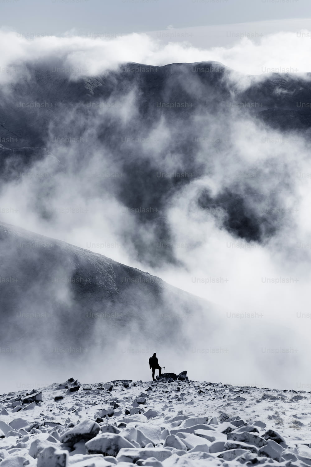 a person standing on a mountain with a dog