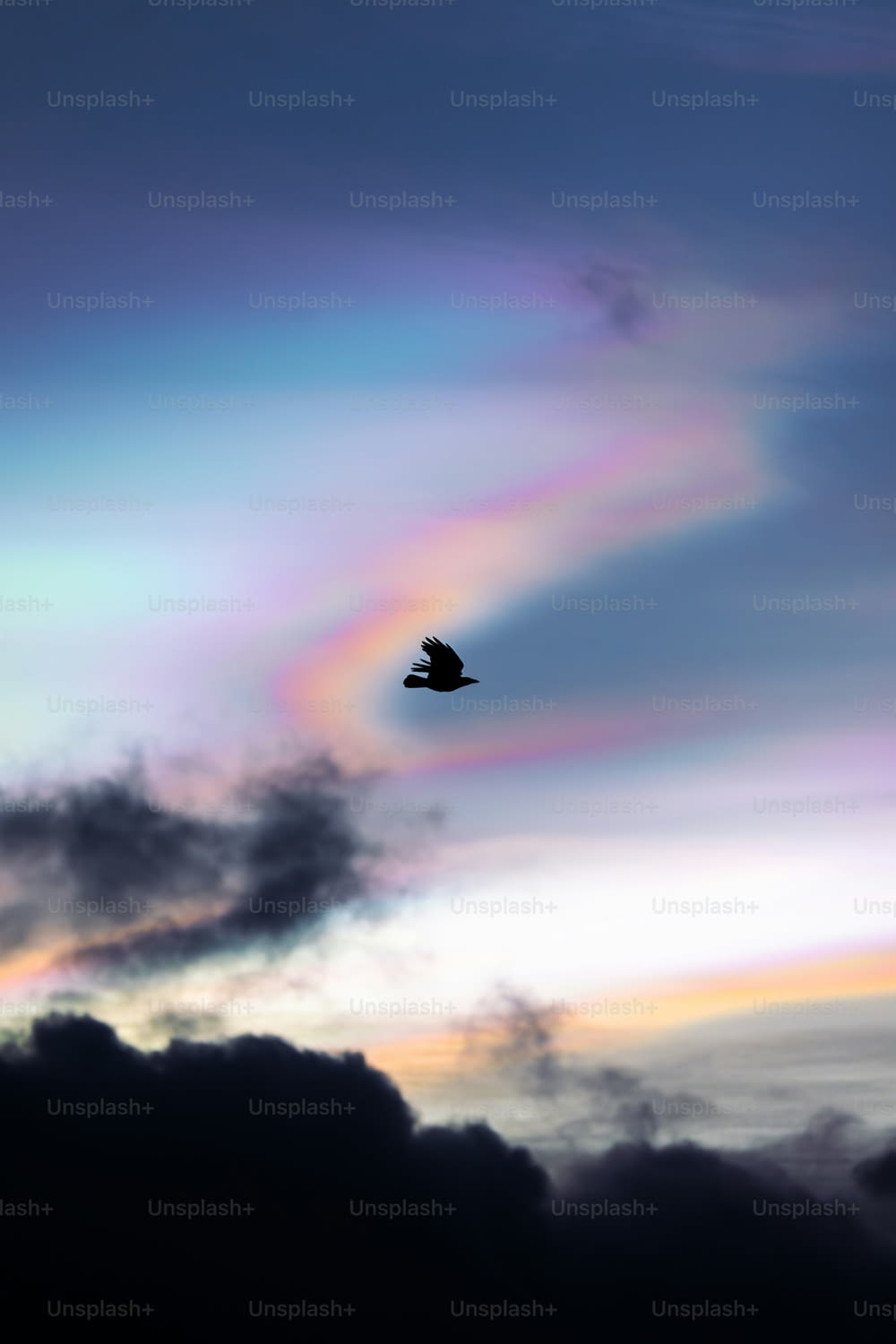 um pássaro voando no céu com um arco-íris ao fundo
