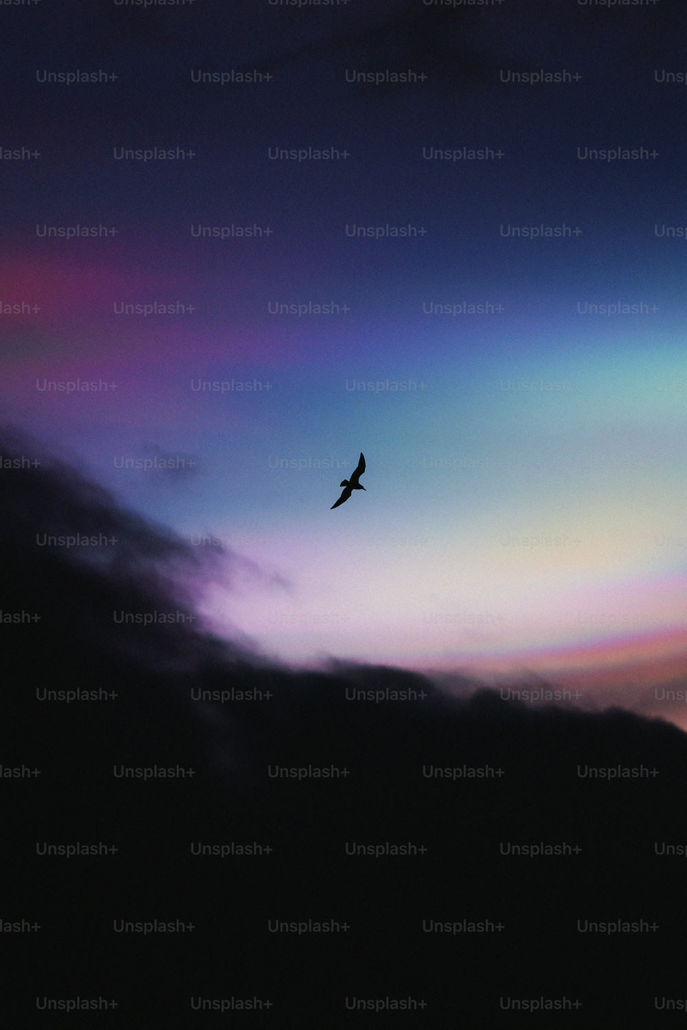un uccello che vola nel cielo con un arcobaleno sullo sfondo