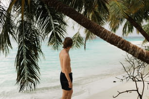 a man standing on a beach next to a palm tree