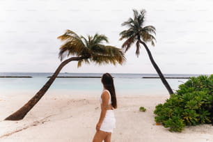 uma mulher em pé em uma praia ao lado de uma palmeira