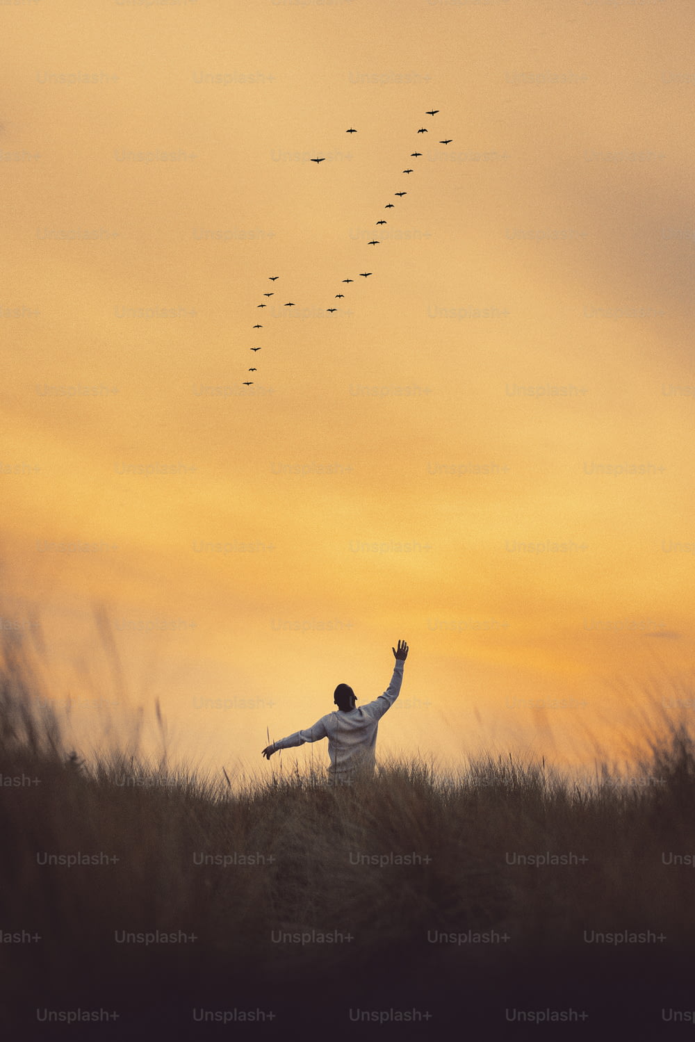 un uomo in piedi in un campo che fa volare un aquilone