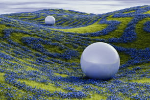 Dos bolas blancas en un campo de flores azules